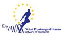 Virtual Physiological Human network of excellence
